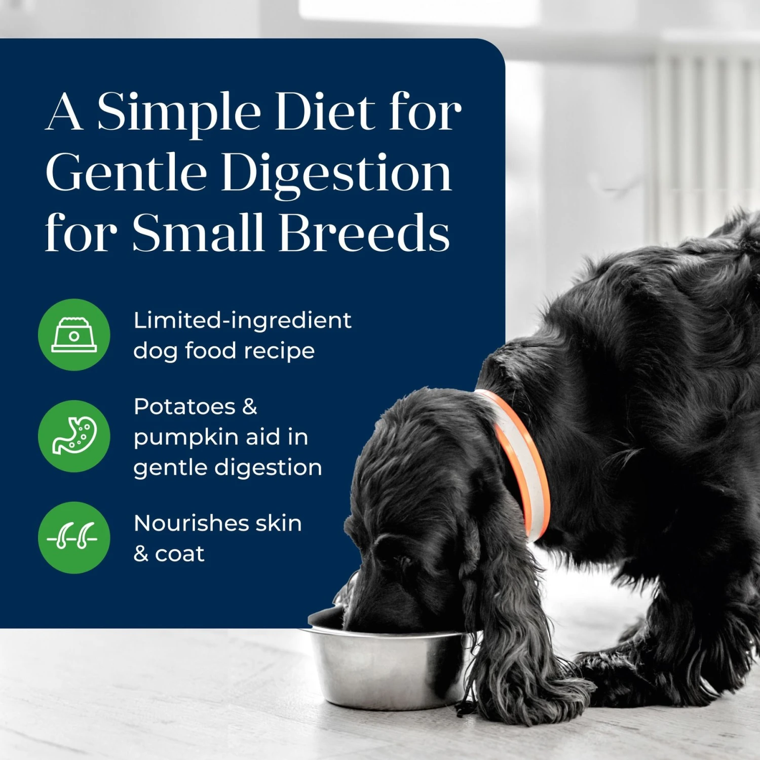 Blue Buffalo Basics Skin & Stomach Care Grain-Free Lamb & Potato Small Breed Adult Wet Dog Food 3 Blue Buffalo Basics Skin & Stomach Care Grain-Free Lamb & Potato Small Breed Adult Wet Dog Food - Image 3