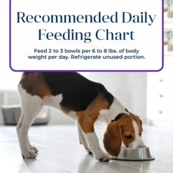 Blue Buffalo Basics Skin & Stomach Care Grain-Free Turkey & Potato Small Breed Adult Wet Dog Food -Pawsphoria Sales Store 88199 PT8. AC SS1800 V1646256096