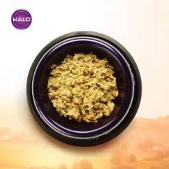 Halo Holistic Vegan Dog Food Complete Digestive Health Plant-Based Recipe With Superfoods Adult Formula Dry Dog Food & Halo Holistic Garden Of Vegan Recipe Adult Canned Dog Food -Pawsphoria Sales Store 882742 PT4. AC SS1800 V1686162090