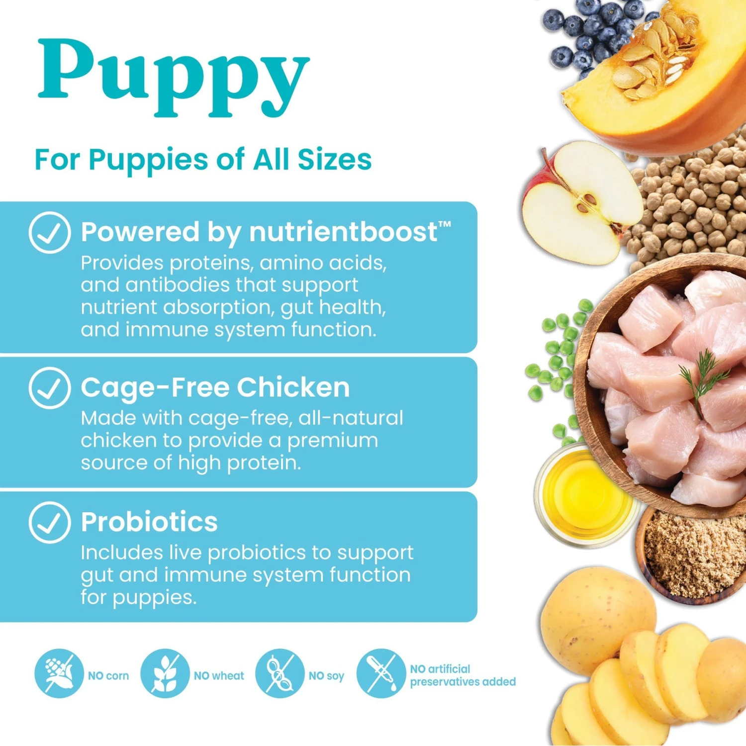 Solid Gold Nutrientboost Love At First Bark Puppy Grain-Free Chicken, Potato & Apple Dry Dog Food 3 Solid Gold Nutrientboost Love At First Bark Puppy Grain-Free Chicken, Potato & Apple Dry Dog Food - Image 3