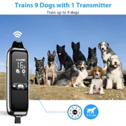 Petdiary T300 Waterproof Dog Remote Training Collar, Black -Pawsphoria Sales Store 892774 PT2. AC SS1800 V1689687984