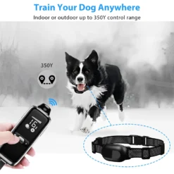 Petdiary T300 Waterproof Dog Remote Training Collar, Black -Pawsphoria Sales Store 892774 PT3. AC SS1800 V1689687854