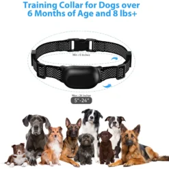 Petdiary T300 Waterproof Dog Remote Training Collar, Black -Pawsphoria Sales Store 892774 PT5. AC SS1800 V1689632119