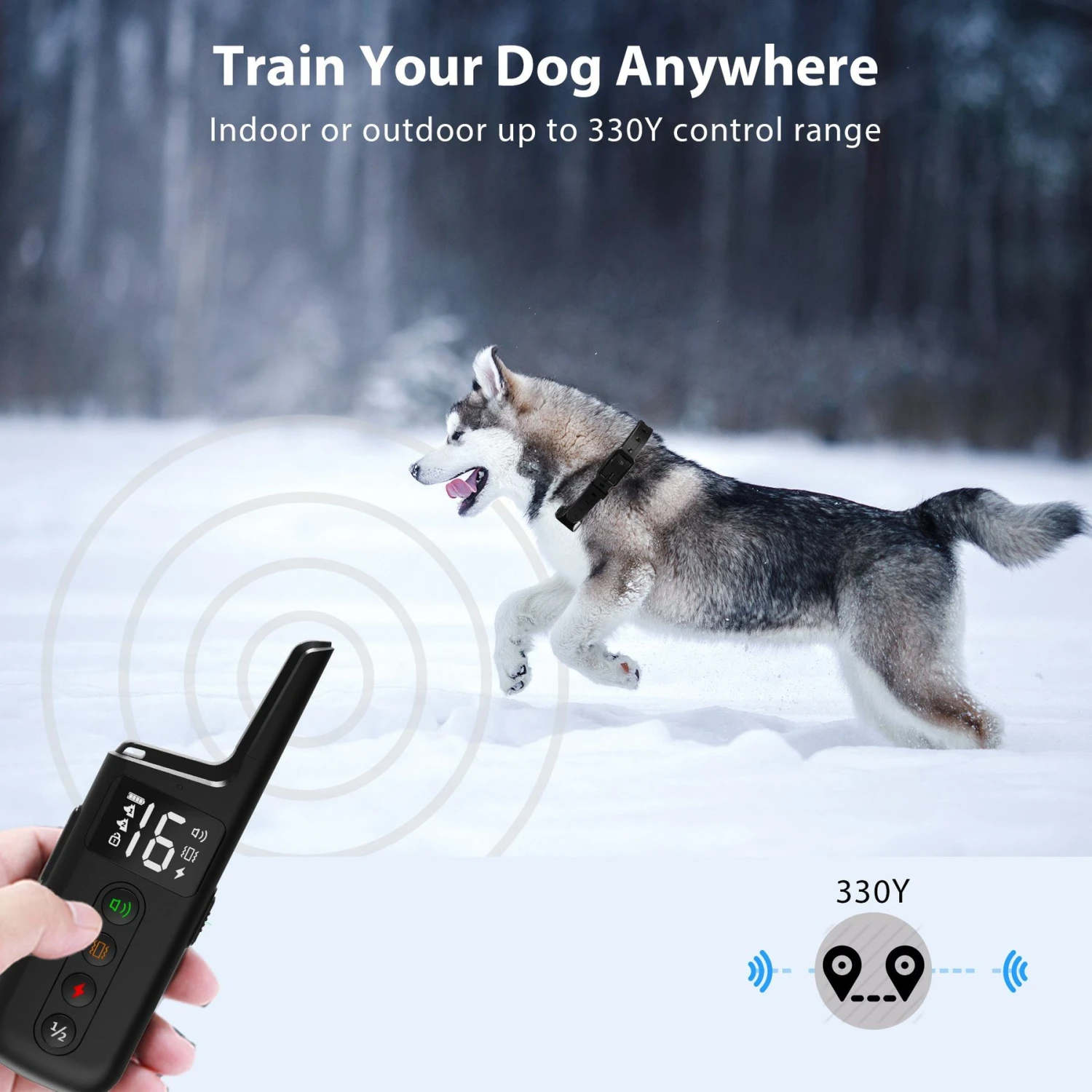 Petdiary T330 Waterproof Dog Remote Training Collar, Black 3 Petdiary T330 Waterproof Dog Remote Training Collar, Black - Image 3