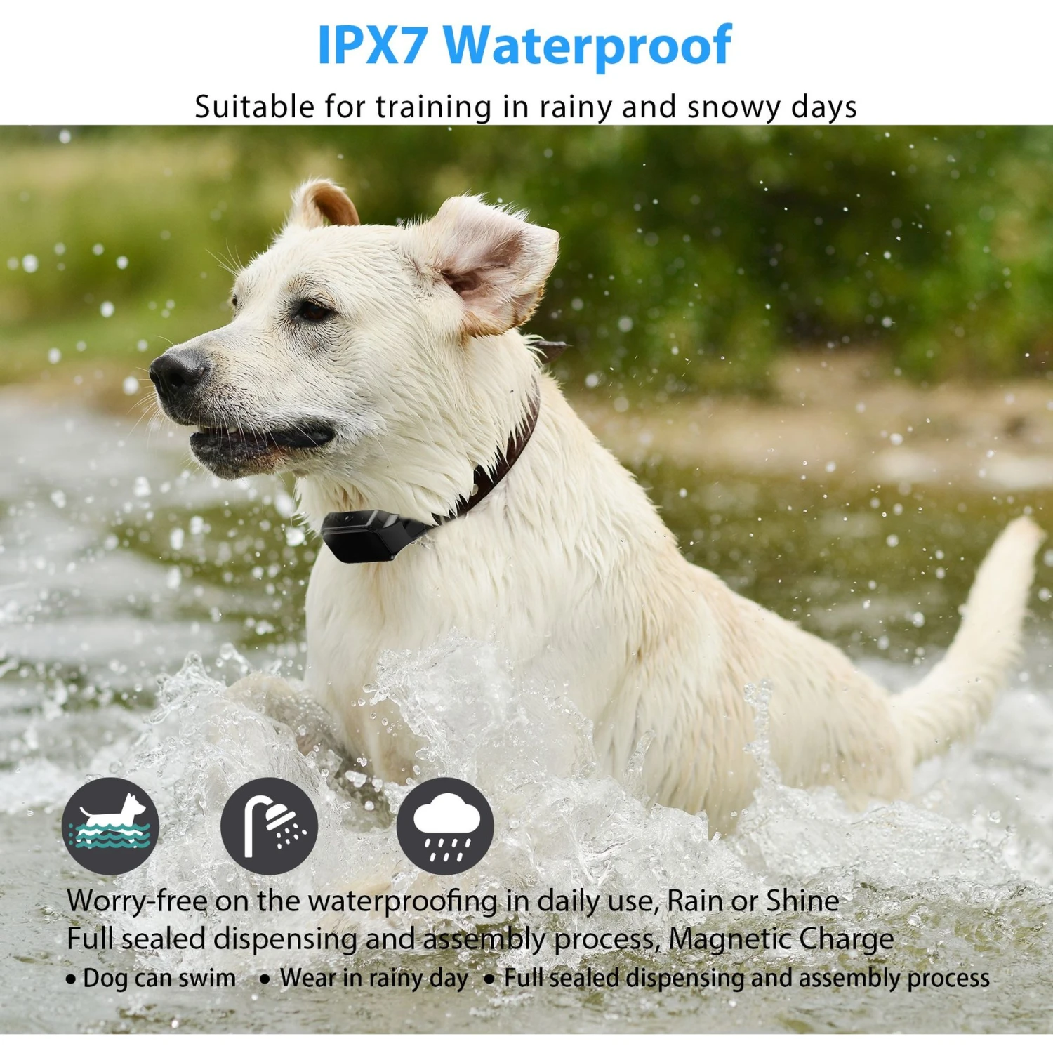 Petdiary T330 Waterproof Dog Remote Training Collar, Black 4 Petdiary T330 Waterproof Dog Remote Training Collar, Black - Image 4