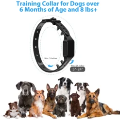 Petdiary T330 Waterproof Dog Remote Training Collar, Black 15 Petdiary T330 Waterproof Dog Remote Training Collar, Black -Pawsphoria Sales Store 892790 PT6. AC SS1800 V1689689073