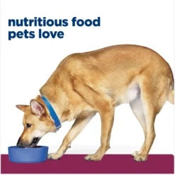 Hill's Prescription Diet I/d Digestive Care Chicken Flavor Dry Dog Food -Pawsphoria Sales Store 89368 PT2. AC SS1800 V1647293852