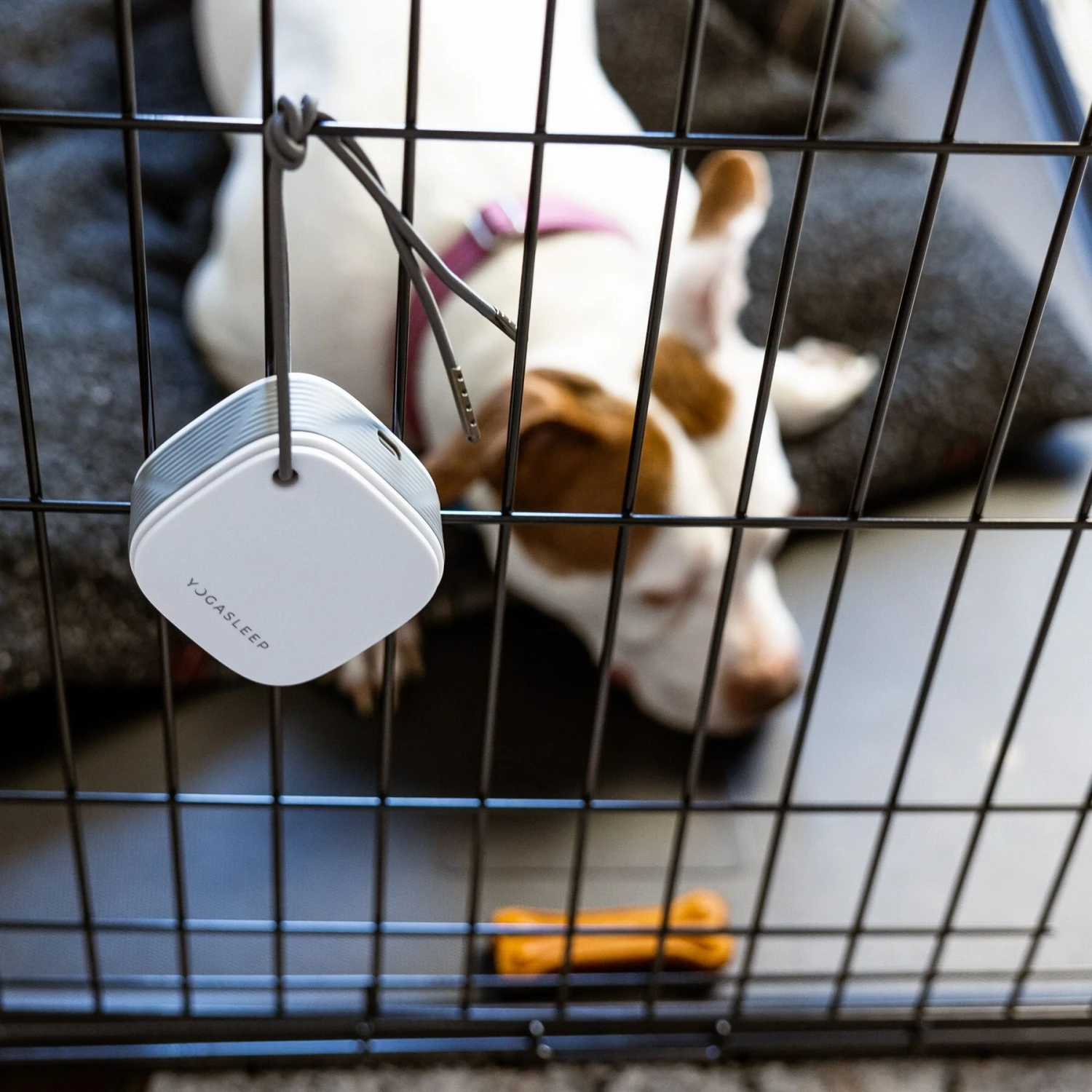 Yogasleep Pawzz Travel Dog Sound Machine, White 2 Yogasleep Pawzz Travel Dog Sound Machine, White - Image 2