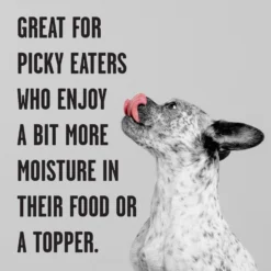 BIXBI Rawbble Grain-Free Canned Lamb Recipe Wet Dog Food, 12.5-oz Can, Case Of 12 -Pawsphoria Sales Store 895246 PT3. AC SS1800 V1689010997