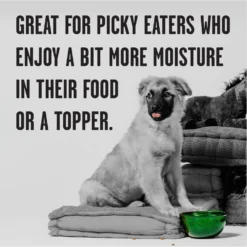 BIXBI Rawbble Grain-Free Canned Turkey Recipe Wet Dog Food For Puppies, 12.5-oz Can, Case Of 12 -Pawsphoria Sales Store 895262 PT4. AC SS1800 V1689017852