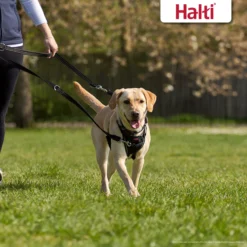 Halti Nylon Training Dog Lead -Pawsphoria Sales Store 89647 PT4. AC SS1800 V1694811567