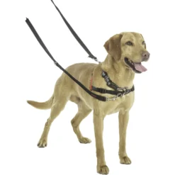 Halti Nylon Training Dog Lead -Pawsphoria Sales Store 89647 PT7. AC SS1800 V1558014720