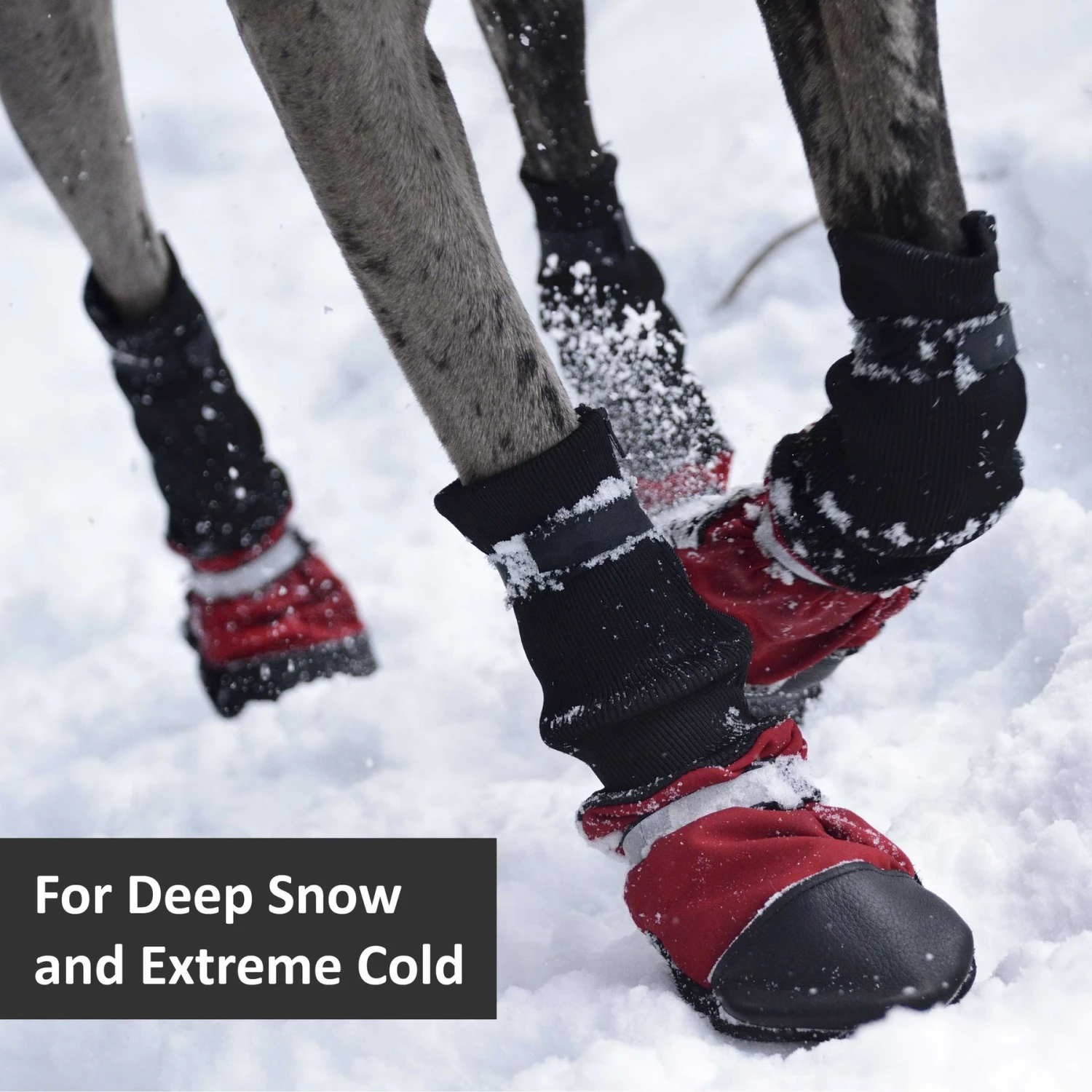 Muttluks Deluxe Winter Dog Boots With Waterproof Fabric, 4 Boots 3 Muttluks Deluxe Winter Dog Boots With Waterproof Fabric, 4 Boots - Image 3