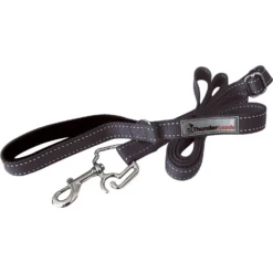 ThunderLeash Nylon Dog Leash
