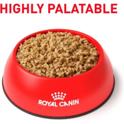 Royal Canin Veterinary Diet Adult Renal Support E Loaf Canned Dog Food 11 Royal Canin Veterinary Diet Adult Renal Support E Loaf Canned Dog Food -Pawsphoria Sales Store 90643 PT2. AC SS1800 V1701379574