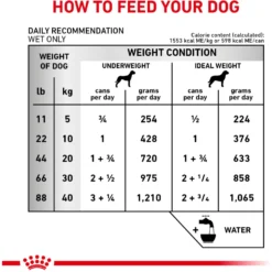 Royal Canin Veterinary Diet Adult Renal Support E Loaf Canned Dog Food 16 Royal Canin Veterinary Diet Adult Renal Support E Loaf Canned Dog Food -Pawsphoria Sales Store 90643 PT7. AC SS1800 V1701379573