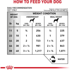 Royal Canin Veterinary Diet Adult Renal Support T Loaf Canned Dog Food -Pawsphoria Sales Store 90644 PT6. AC SS1800 V1701379570