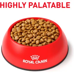 Royal Canin Veterinary Diet Adult Renal Support A Dry Dog Food -Pawsphoria Sales Store 90646 PT2. AC SS1800 V1701379841