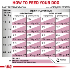Royal Canin Veterinary Diet Adult Renal Support F Dry Dog Food 16 Royal Canin Veterinary Diet Adult Renal Support F Dry Dog Food -Pawsphoria Sales Store 90667 PT7. AC SS1800 V1701379782