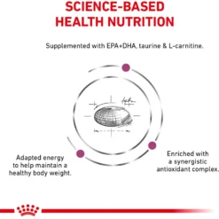 Royal Canin Veterinary Diet Adult Renal Support D Thin Slices In Gravy Canned Dog Food -Pawsphoria Sales Store 90673 PT6. AC SS1800 V1701379767