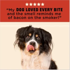 Barkworthies 4-6-in Smoked Beef Rib Bones Dog Treat, 10 Count -Pawsphoria Sales Store 907798 PT4. AC SS1800 V1689184019