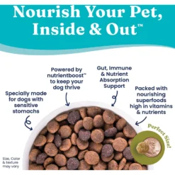Solid Gold Nutrientboost Buck Wild Sensitive Stomach Grain-Free Wild Venison, Potato & Pumpkin Dry Dog Food -Pawsphoria Sales Store 910062 PT4. AC SS1800 V1688760636