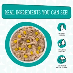 Weruva Dogs In The Kitchen Funk In The Trunk With Chicken Breast & Pumpkin Au Jus Grain-Free Dog Food Pouches -Pawsphoria Sales Store 91008 PT3. AC SS1800 V1701363493