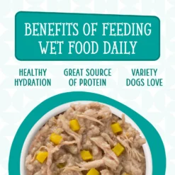 Weruva Dogs In The Kitchen Funk In The Trunk With Chicken Breast & Pumpkin Au Jus Grain-Free Dog Food Pouches -Pawsphoria Sales Store 91008 PT6. AC SS1800 V1701363493