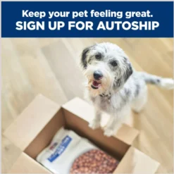 Hill's Prescription Diet K/d Kidney Care With Lamb Canned Dog Food -Pawsphoria Sales Store 91075 PT8. AC SS1800 V1688761211