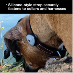 Max & Molly Soundshield 24/7 UltraSonic Tick & Flea Repeller Dog Tag -Pawsphoria Sales Store 910782 PT6. AC SS1800 V1698939693