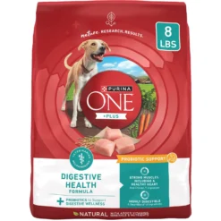 Purina ONE Plus Digestive Health Formula Dry Dog Food, 8-lb Bag