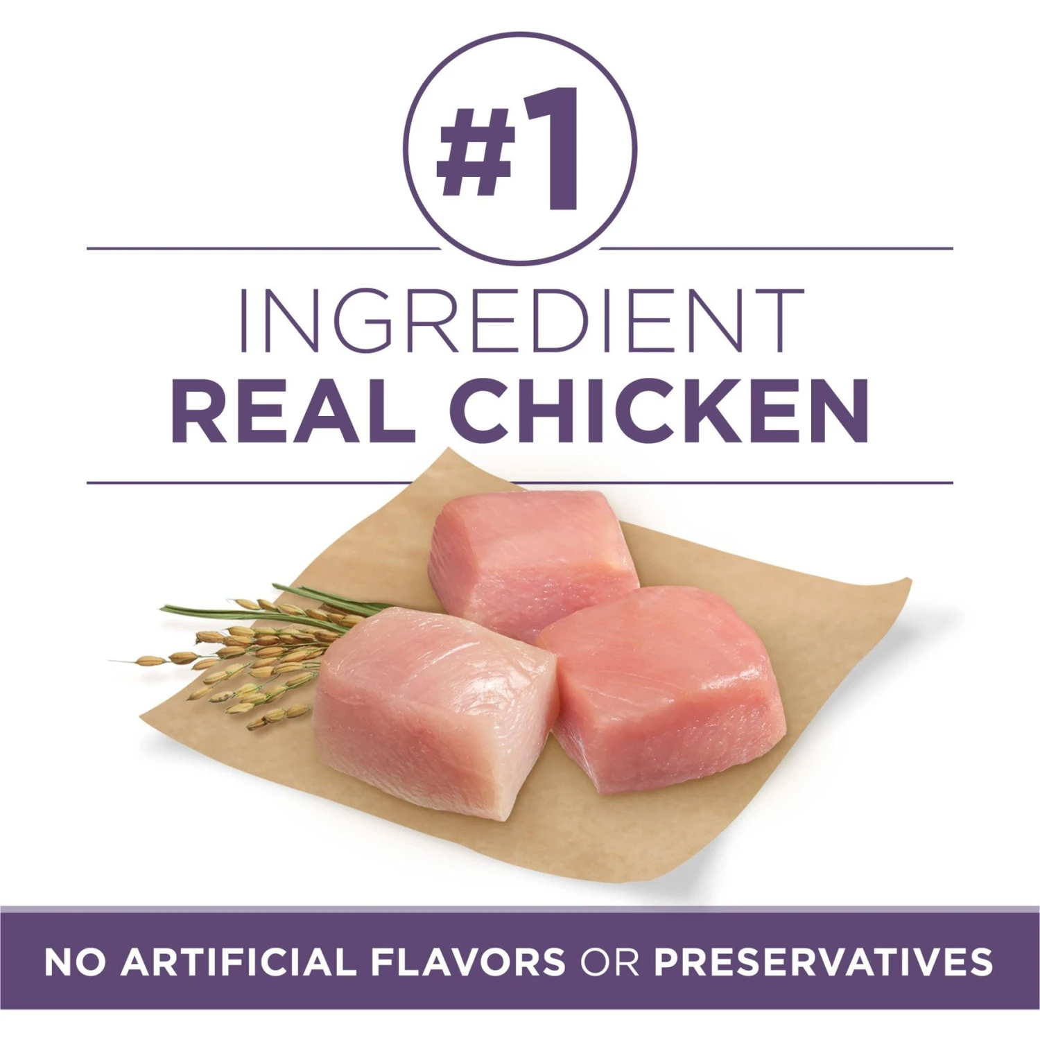 Purina ONE High Protein + Vibrant Maturity 7 Plus Formula Dry Senior Dog Food 3 Purina ONE High Protein + Vibrant Maturity 7 Plus Formula Dry Senior Dog Food - Image 3