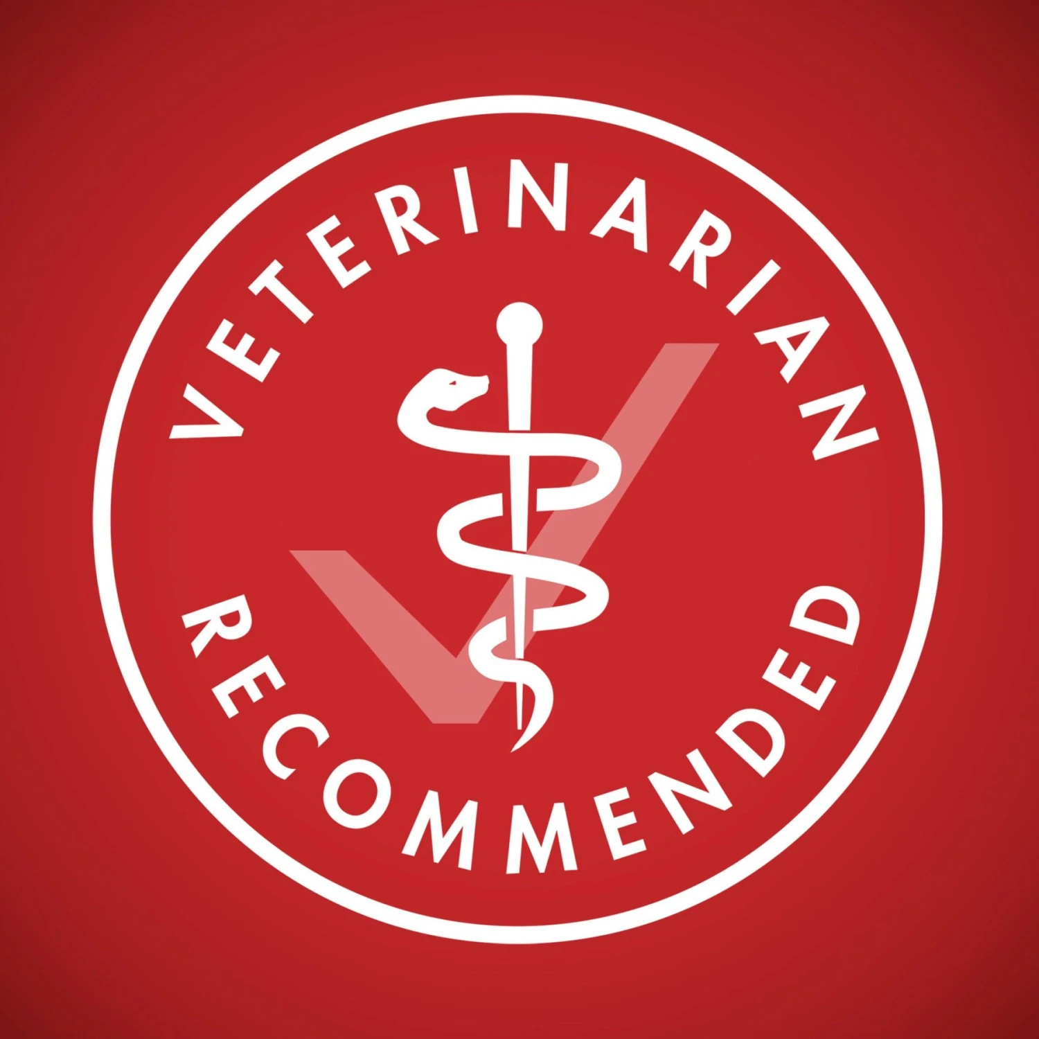 Purina ONE Lamb & Rice Formula Dry Dog Food 7 Purina ONE Lamb & Rice Formula Dry Dog Food - Image 7