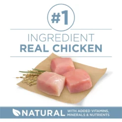 Purina ONE Plus Joint Health Formula Natural With Added Vitamins, Minerals & Nutrients Dry Dog Food, 8-lb Bag -Pawsphoria Sales Store 918830 PT2. AC SS1800 V1694623175