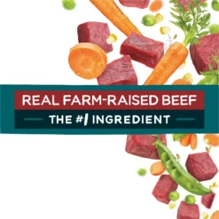 Purina Beneful IncrediBites With Farm-Raised Beef, Small Breed Dry Dog Food, 3.5-lb Bag -Pawsphoria Sales Store 918942 PT7. AC SS1800 V1694538297
