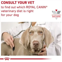 Royal Canin Veterinary Diet Hydrolyzed Protein Dry Puppy Dog Food -Pawsphoria Sales Store 919486 PT8. AC SS1800 V1695054512