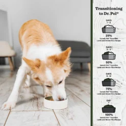 Dr. Pol Incredi-Pol Favorites Lamb & Brown Rice Dog Food, 6-lb Bag -Pawsphoria Sales Store 922262 PT3. AC SS1800 V1692195872