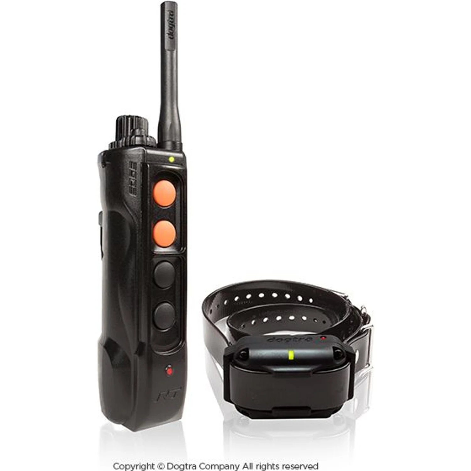 Dogtra EDGE RT Training Dog Collar 3 Dogtra EDGE RT Training Dog Collar - Image 3