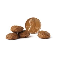 VICTOR Select Beef Meal & Brown Rice Dry Dog Food -Pawsphoria Sales Store 93042 PT3. AC SS1800 V1677684668