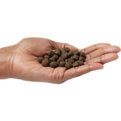 VICTOR Classic Hi-Pro Plus Formula Dry Dog Food -Pawsphoria Sales Store 93064 PT2. AC SS1800 V1682710820