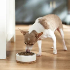 VICTOR Classic Hi-Pro Plus Formula Dry Dog Food -Pawsphoria Sales Store 93064 PT3. AC SS1800 V1682710810