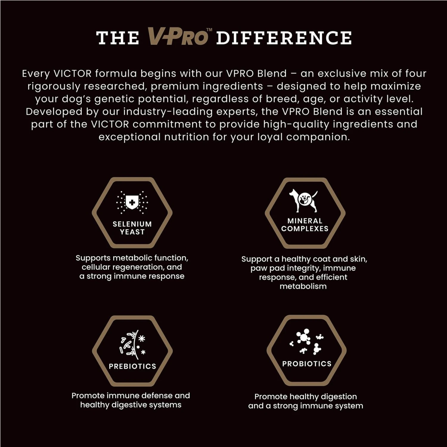 VICTOR Purpose Hero Grain-Free Dry Dog Food 4 VICTOR Purpose Hero Grain-Free Dry Dog Food - Image 4