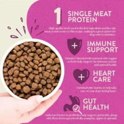 Earthborn Holistic Meadow Feast Lamb Meal & Vegetables Grain-Free Dry Dog Food -Pawsphoria Sales Store 931494 PT3. AC SS1800 V1697759628