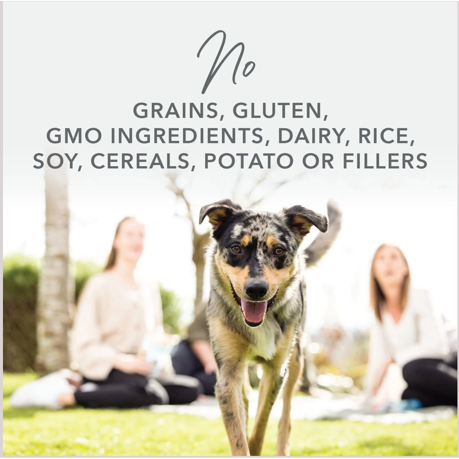 K9 Natural Beef Feast Freeze-Dried Dog Food Topper 3 K9 Natural Beef Feast Freeze-Dried Dog Food Topper - Image 3