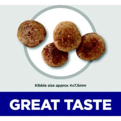 Hill's Science Diet Adult 11+ Small & Mini Chicken Meal, Barley & Brown Rice Recipe Dry Dog Food -Pawsphoria Sales Store 93537 PT2. AC SS1800 V1692734522