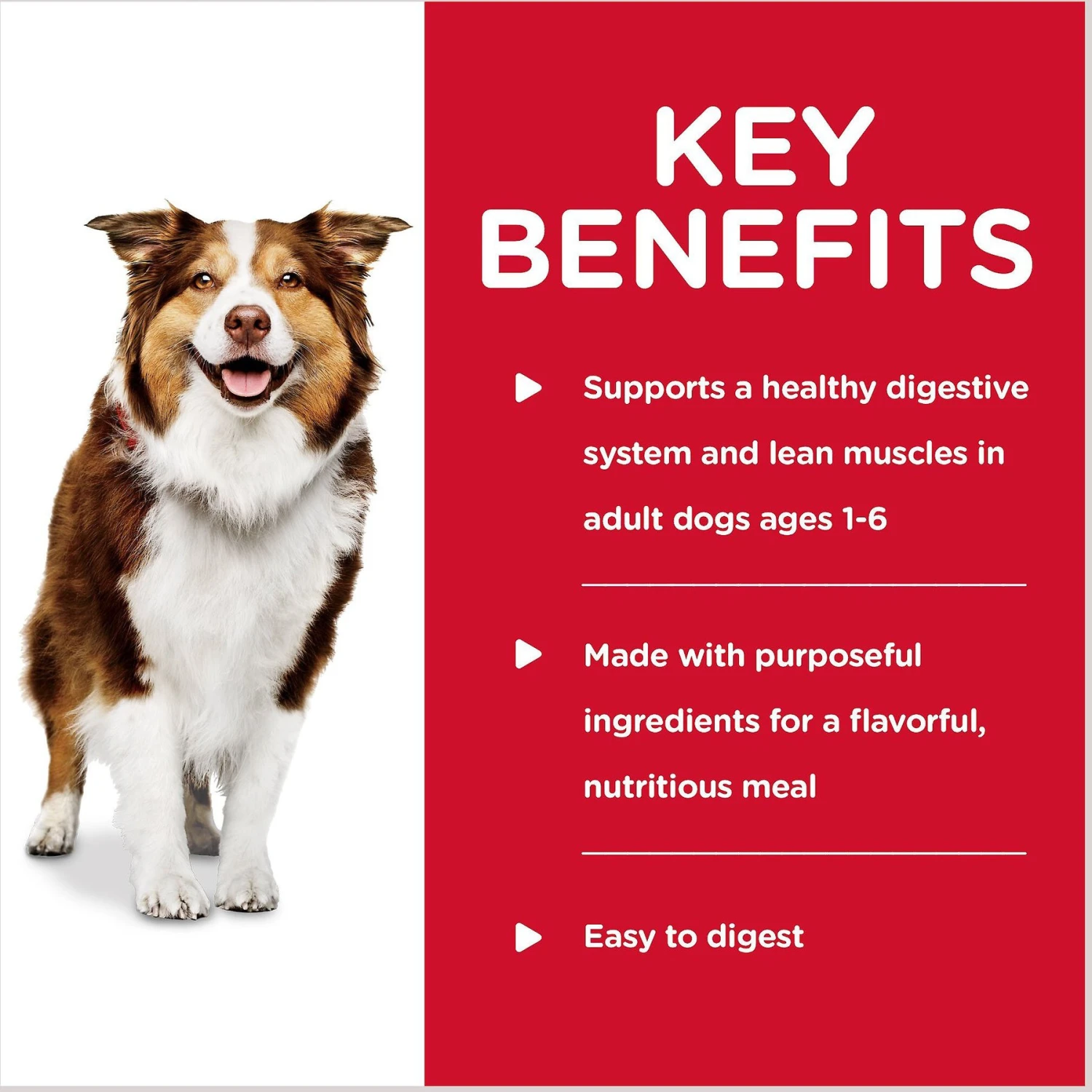 Hill's Science Diet Adult Healthy Cuisine Braised Beef, Carrots & Peas Stew Canned Dog Food 4 Hill's Science Diet Adult Healthy Cuisine Braised Beef, Carrots & Peas Stew Canned Dog Food - Image 4