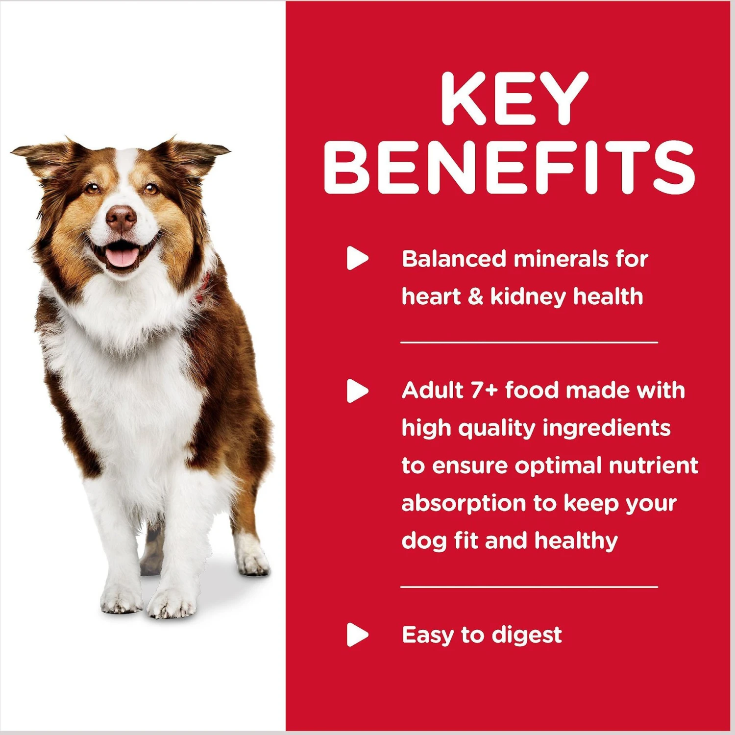 Hill's Science Diet Adult 7+ Healthy Cuisine Braised Beef, Carrots & Peas Stew Canned Dog Food 4 Hill's Science Diet Adult 7+ Healthy Cuisine Braised Beef, Carrots & Peas Stew Canned Dog Food - Image 4