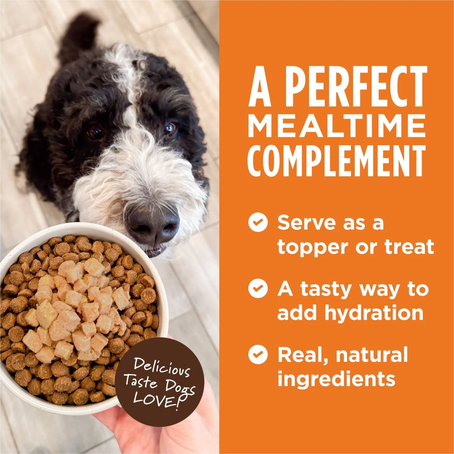 Instinct Healthy Cravings Grain-Free Cuts & Gravy Real Beef Recipe Wet Dog Food Topper 4 Instinct Healthy Cravings Grain-Free Cuts & Gravy Real Beef Recipe Wet Dog Food Topper - Image 4