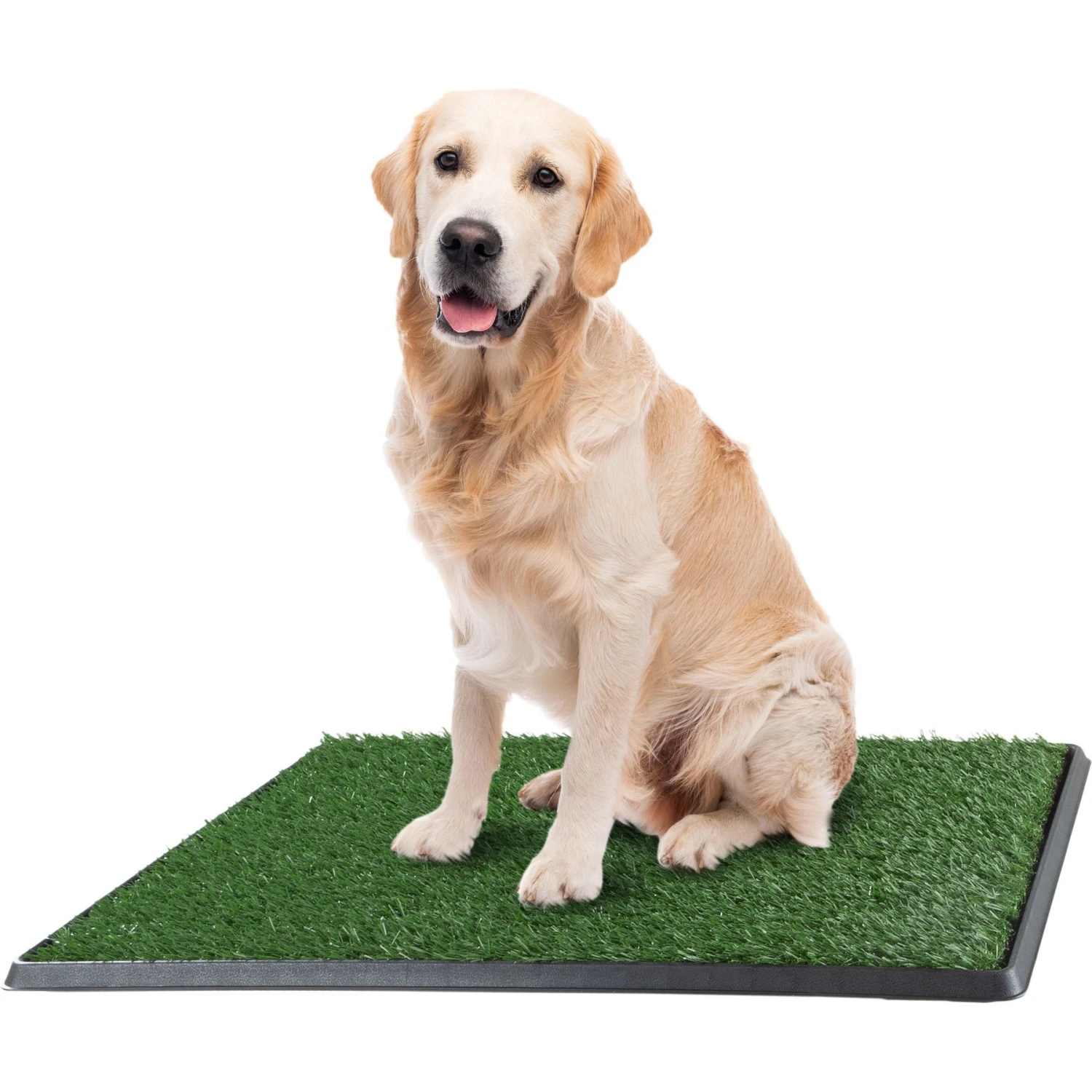 Pet Adobe Artificial Grass Replacement Mats, Large: 20 X 30-in, 3 Count 3 Pet Adobe Artificial Grass Replacement Mats, Large: 20 X 30-in, 3 Count - Image 3