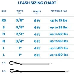 Frisco Padded Nylon No Pull Dog Harness & Frisco Traffic Leash With Padded Handles & Poop Bag Dispenser -Pawsphoria Sales Store 947622 PT6. AC SS1800 V1693924198
